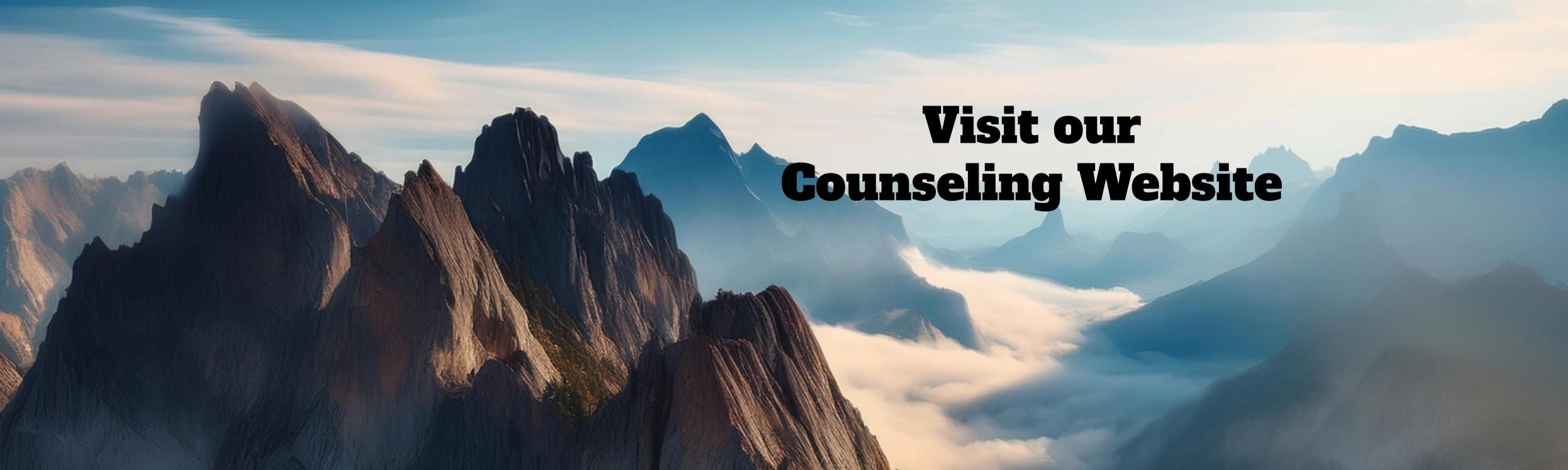 Banner: Visit our counseling website!